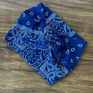 Blue Paisley Headband